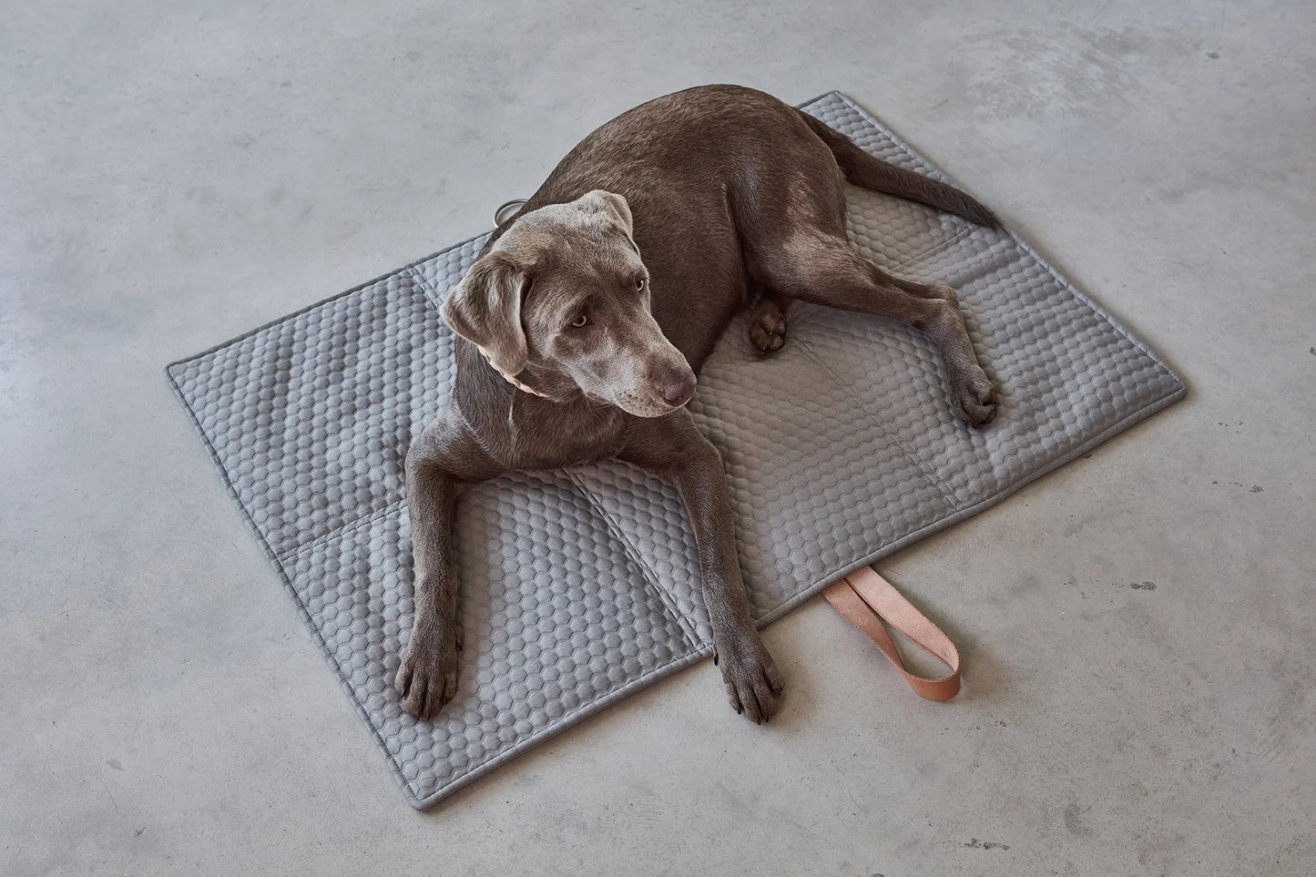 Cosmo Favo Reisedecke in beton
