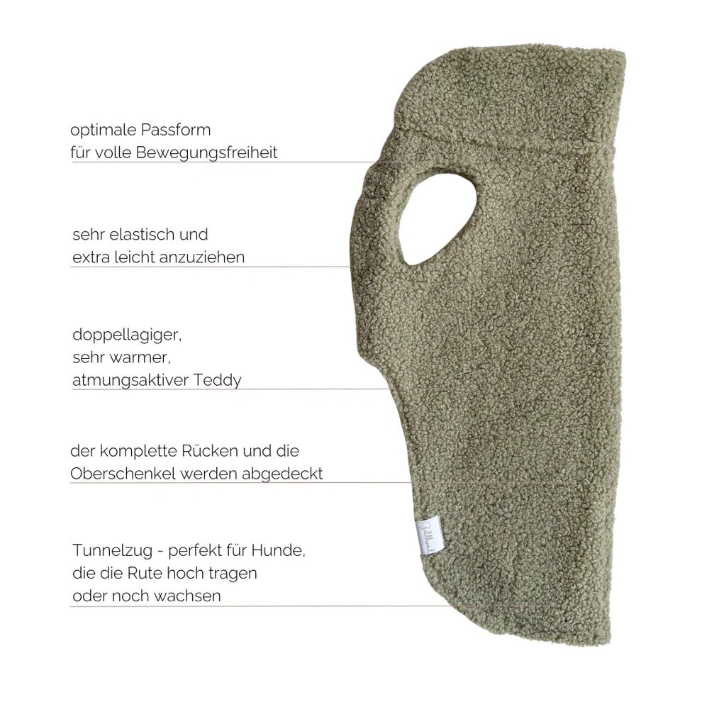 CosyShirt dog sweater, stay warm, teddy bear, moss green