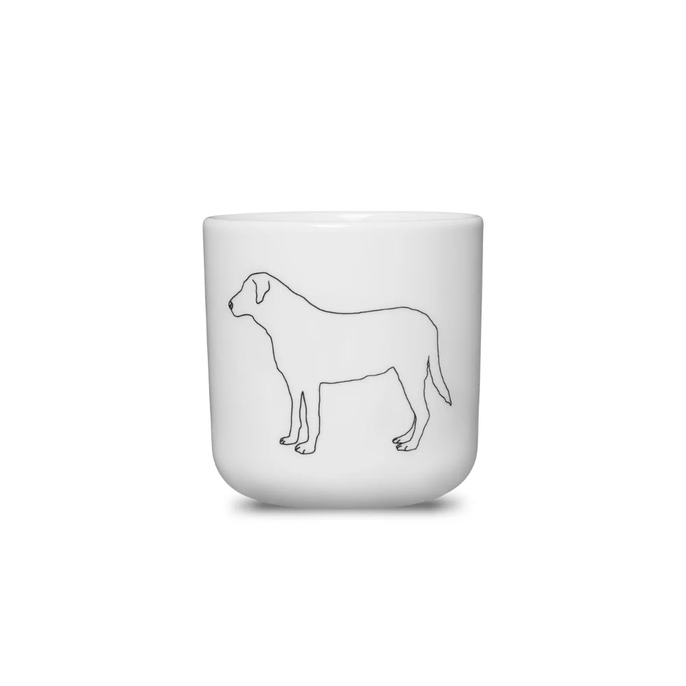 Cup Labrador