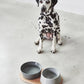 Doppio Hundenapf-Set in beton