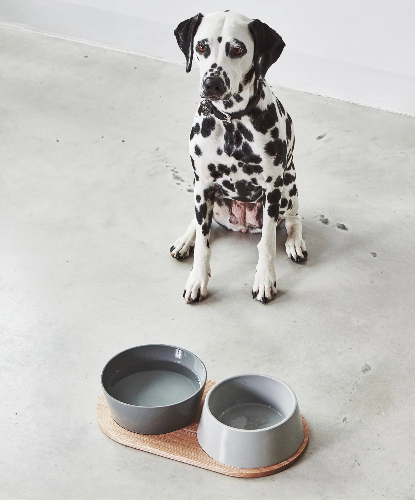 Doppio Hundenapf-Set in beton