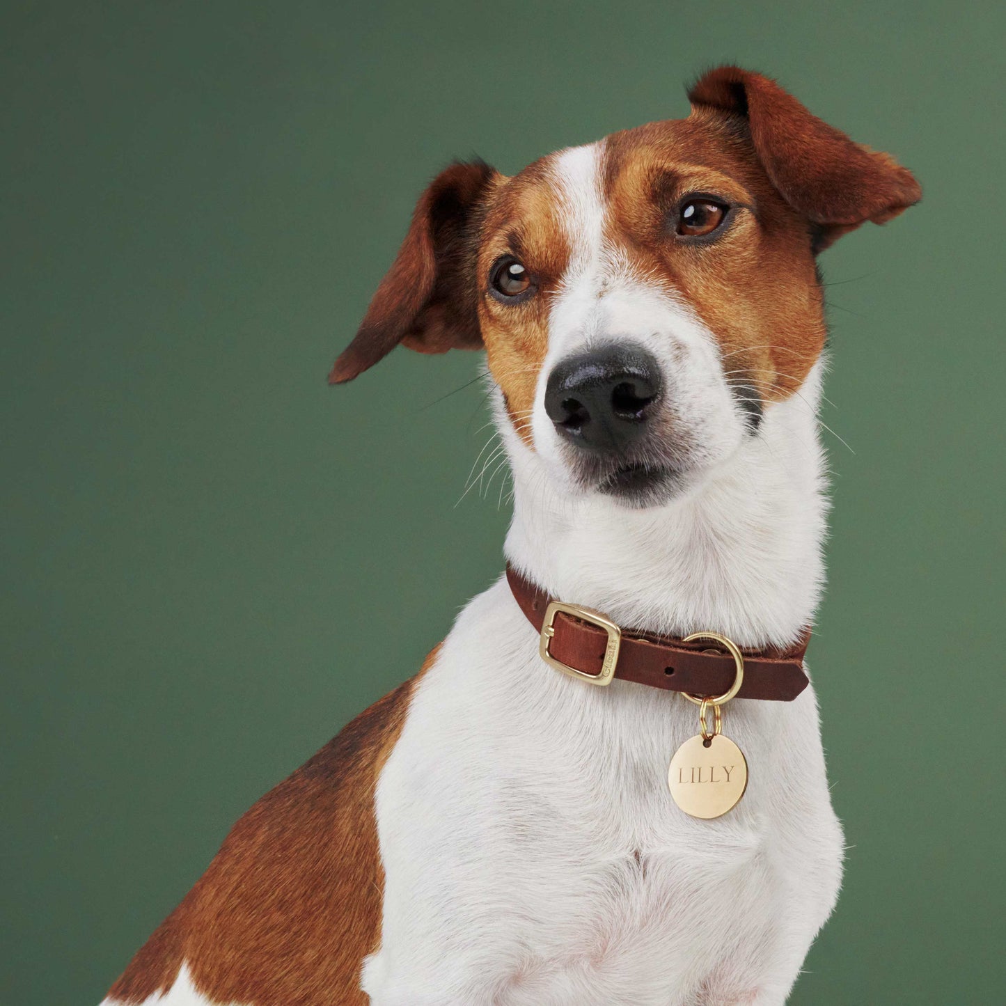 Hundehalsband Riverlino Camel Gold