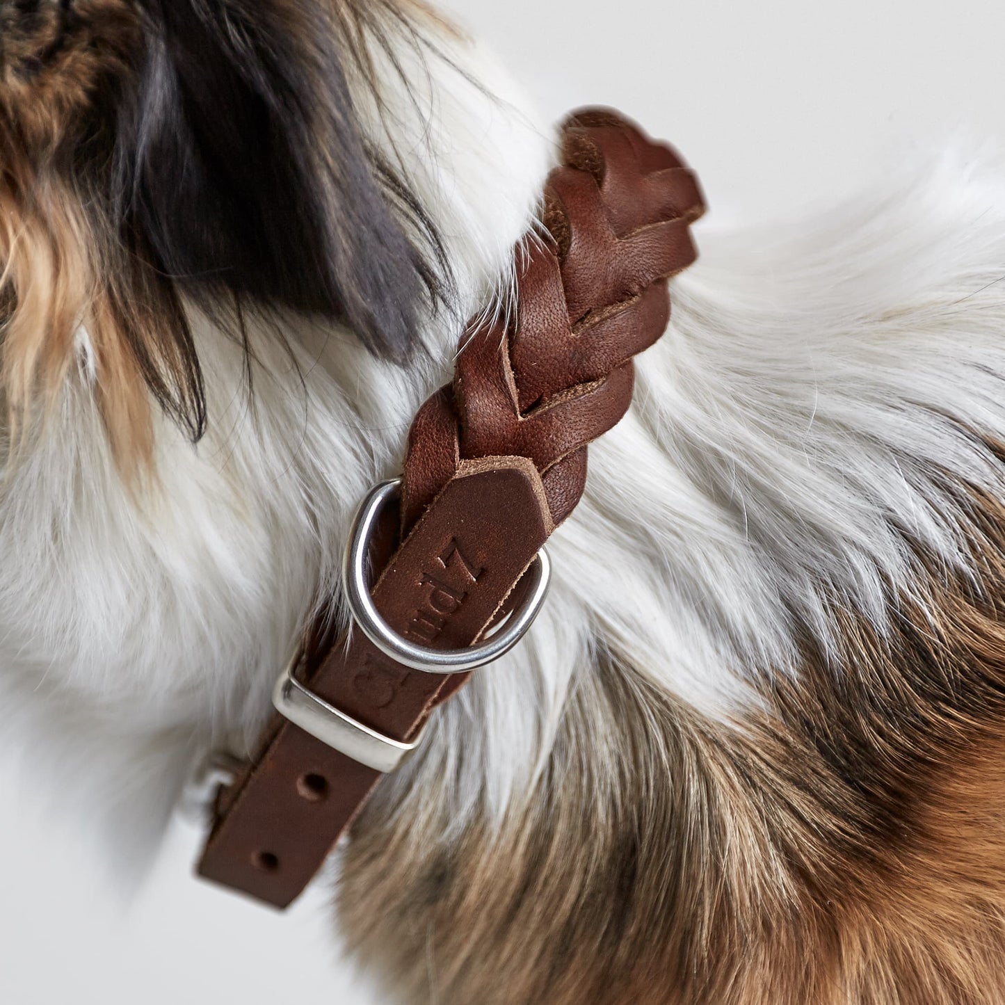 Hundehalsband Central Park Saddle Brown Silber