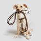 Halsband Tiergarten mocca