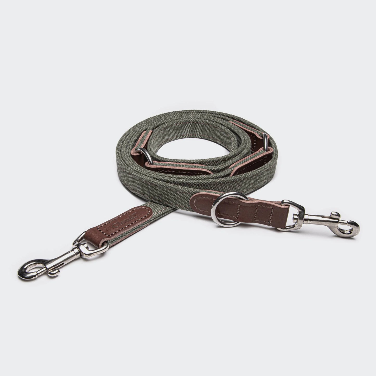 Hundeleine Tivoli Olive