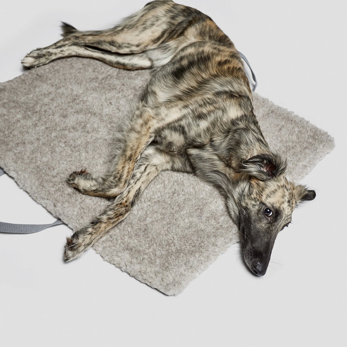 Hundereisebett Tweed Taupe
