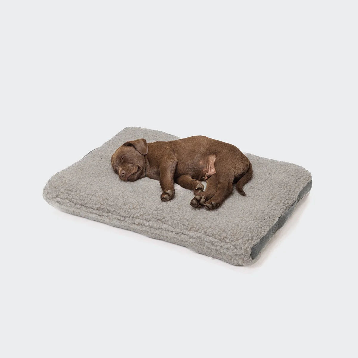 Hundekissen Siesta Teddy