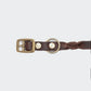 Hundehalsband Riverlino Saddle Brown Gold