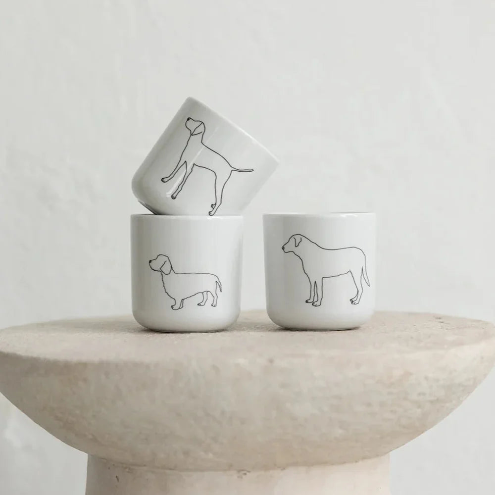 Cup Labrador