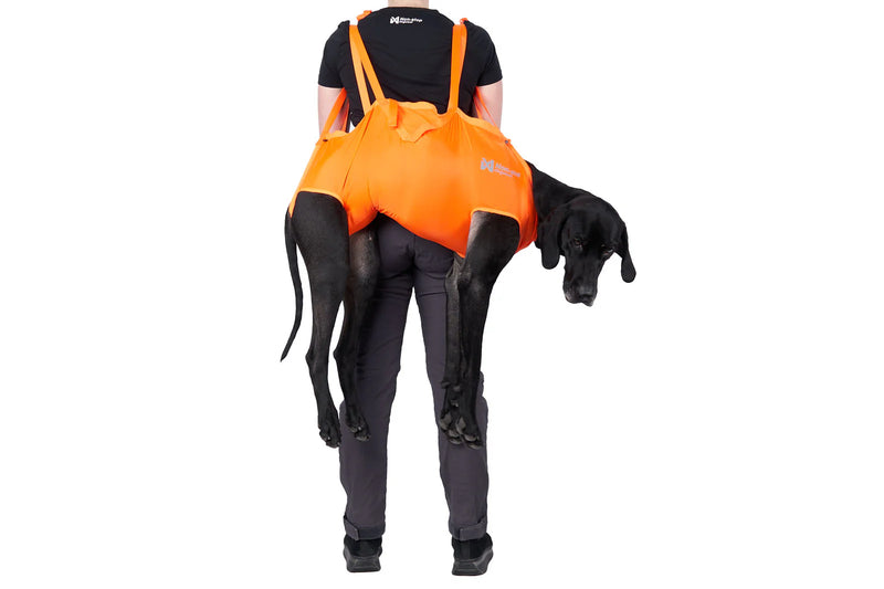 Hunde Rettungsschlinge
