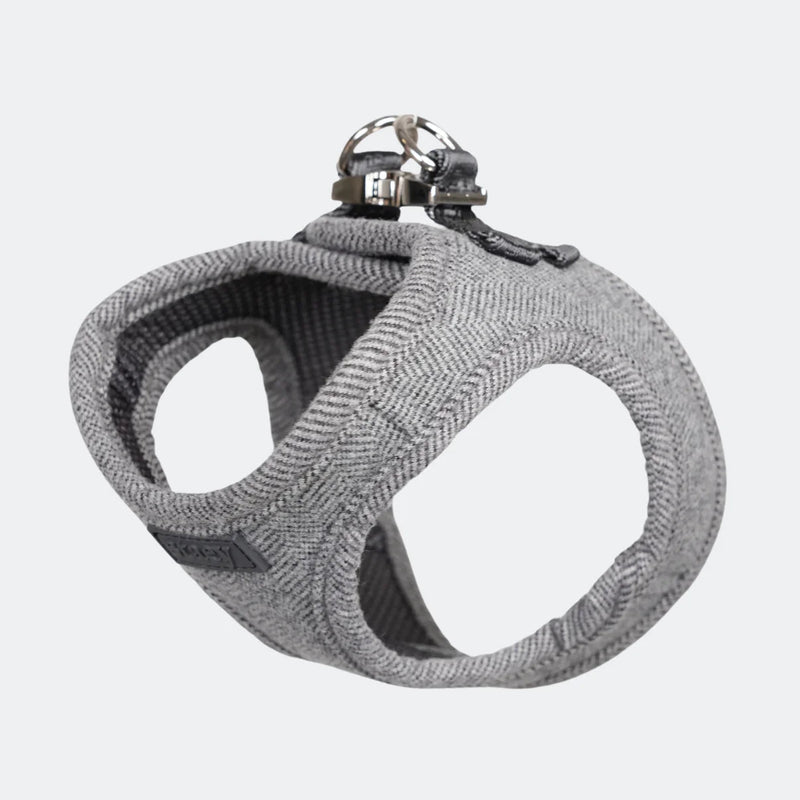 Step-In dog harness Saga in dusty blue