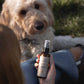 Zeckenspray für Hunde