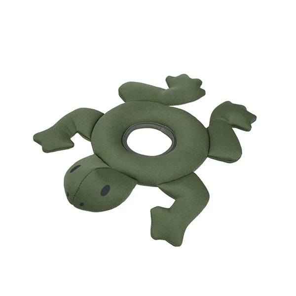 Wasserspielzeug Frosch