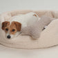 Hundebett Paddy creme