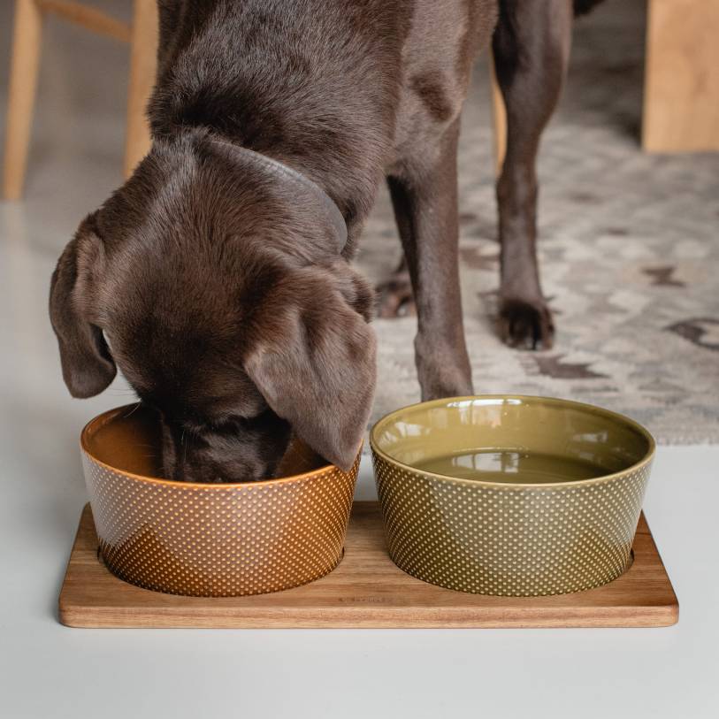 Napfunterlage Dog Station Akazienholz