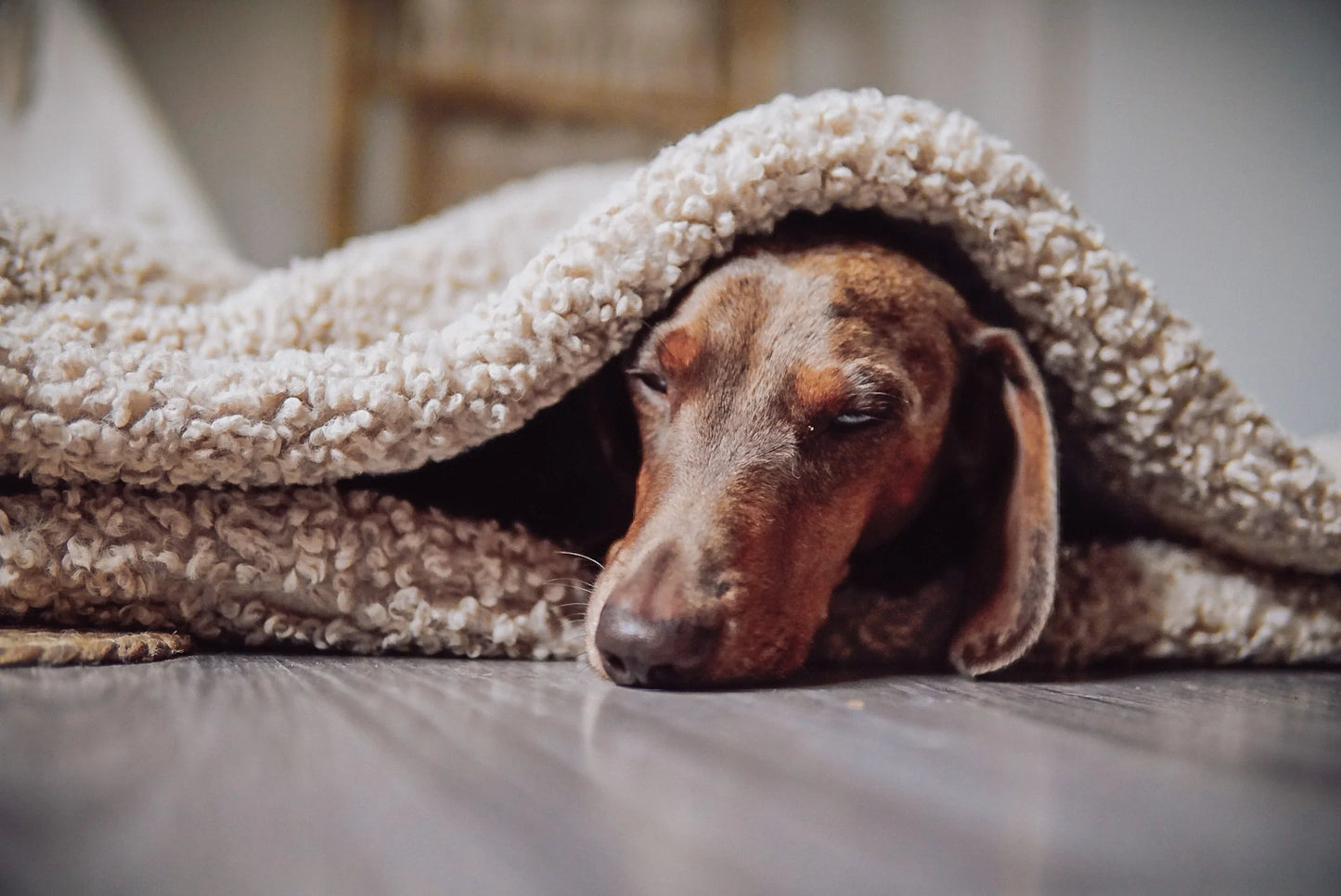 Kuschelschlafsack Nube