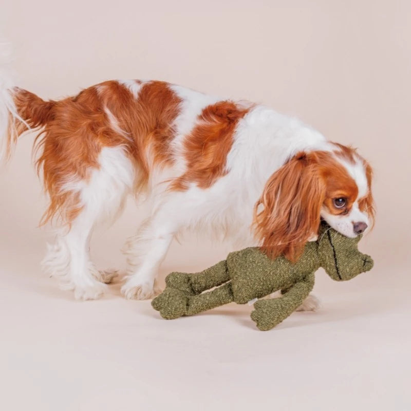 Frosch Greta