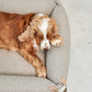 Hundebett Mondo Cappuccino
