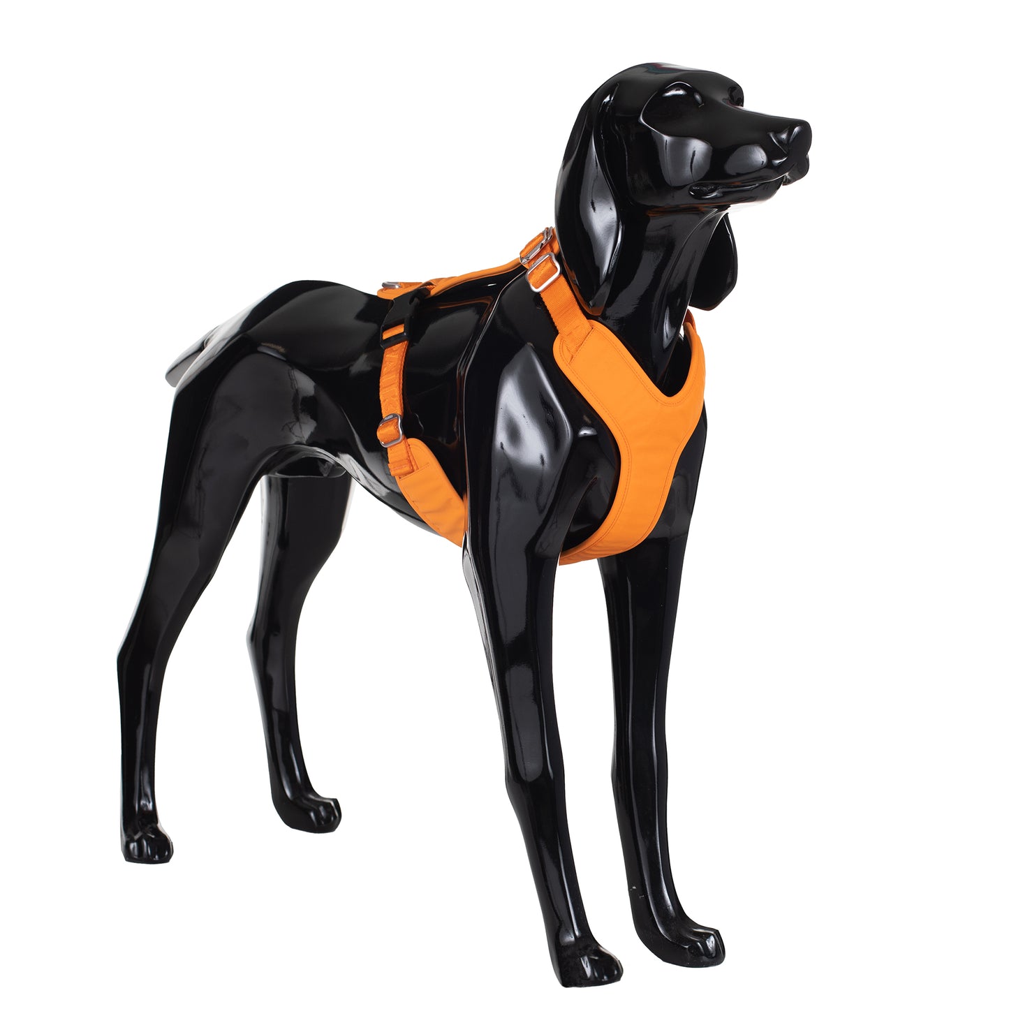 Paikka Visibility Hundegeschirr Orange