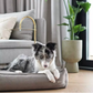 Hundebett Strippo mokka mit Cord-Bezug