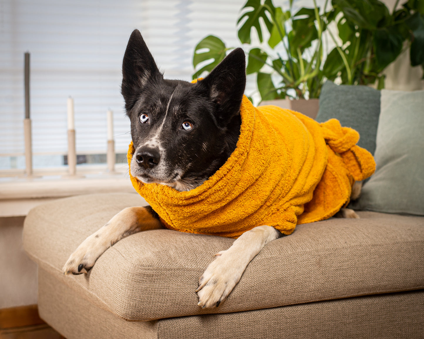 Hundebademantel aus Bio-Baumwolle "Amber"