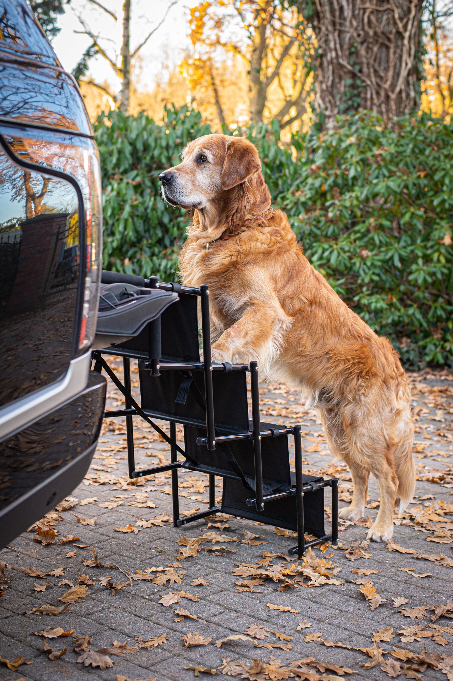 Hundetreppe als Einstiegshilfe für das Auto, 5stufig